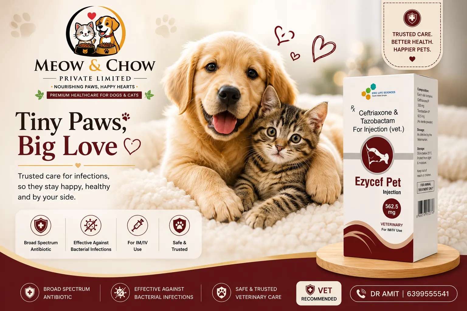 Ezycef Pet infection care banner
