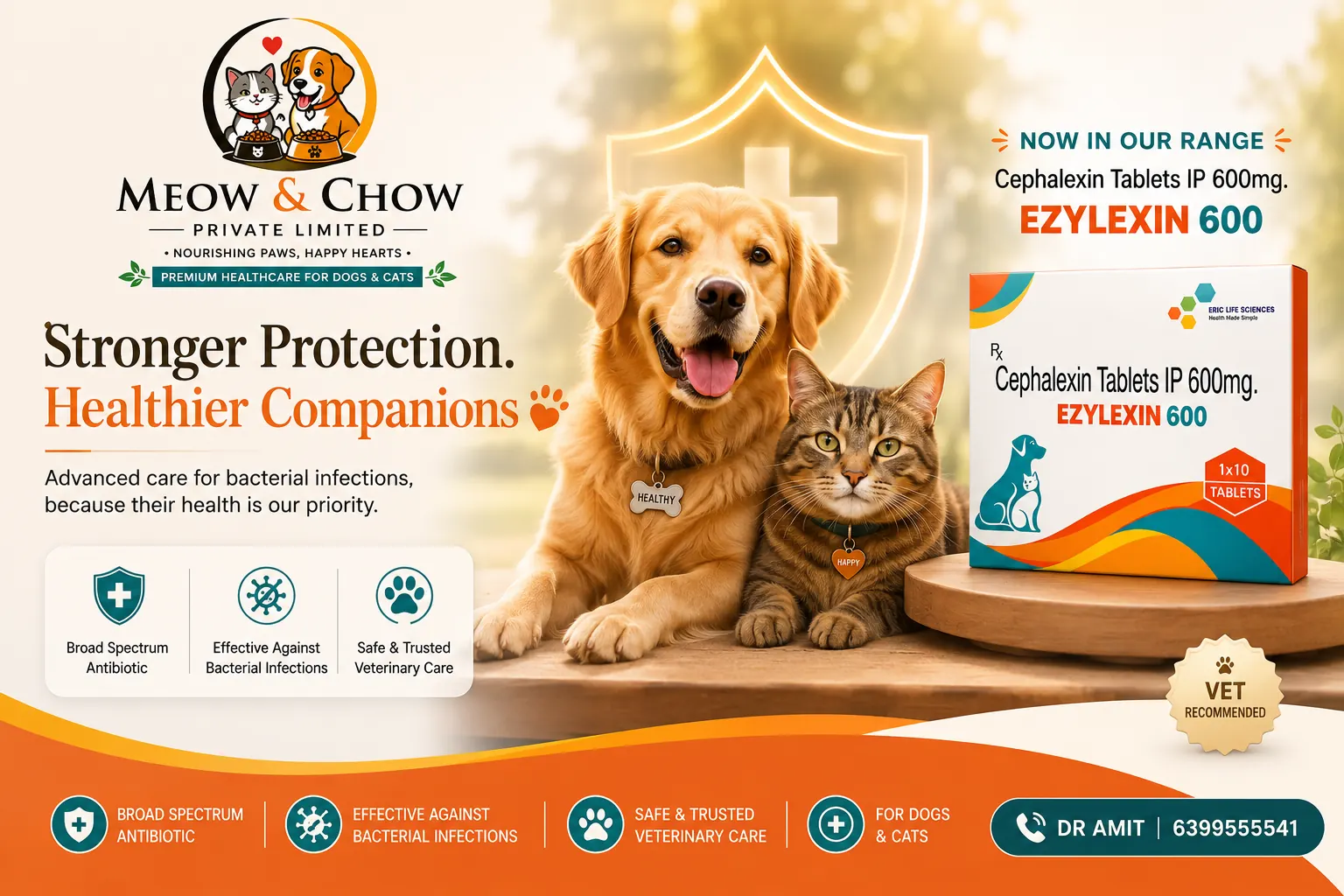 Ezylexin 600 bacterial infection care banner
