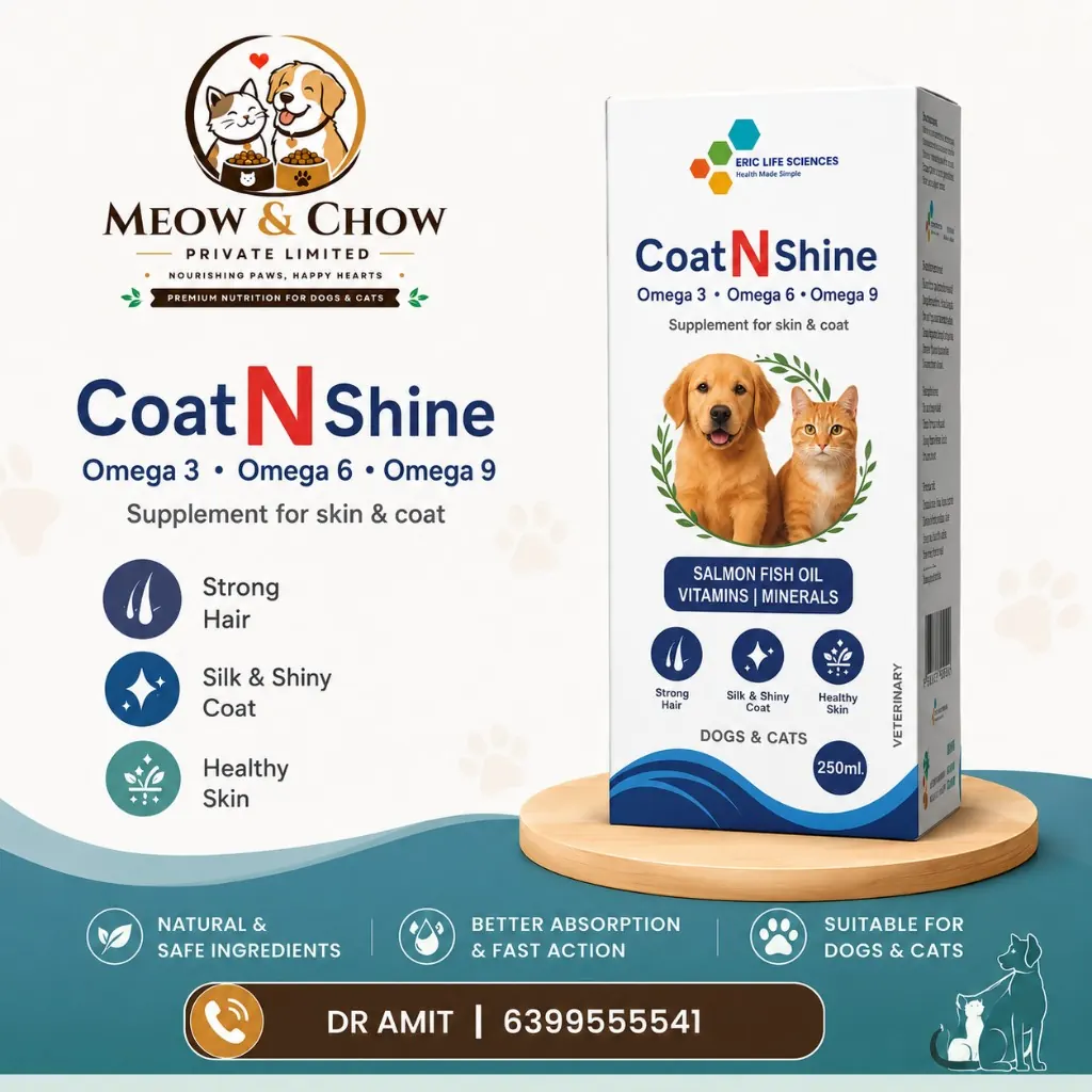 Coat N Shine