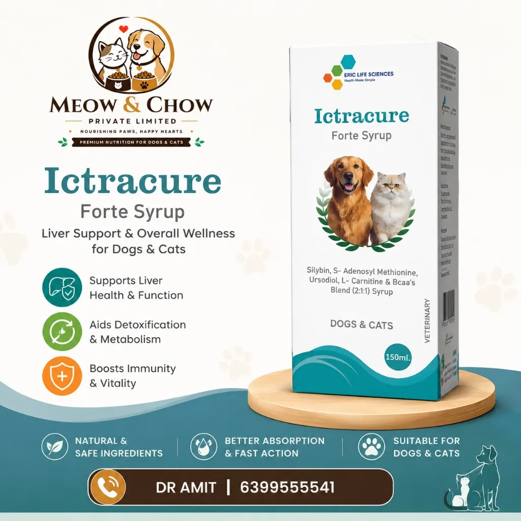 Ictracure Forte Syrup